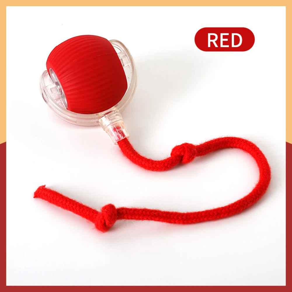 Automatic Rolling Ball Cat Toy