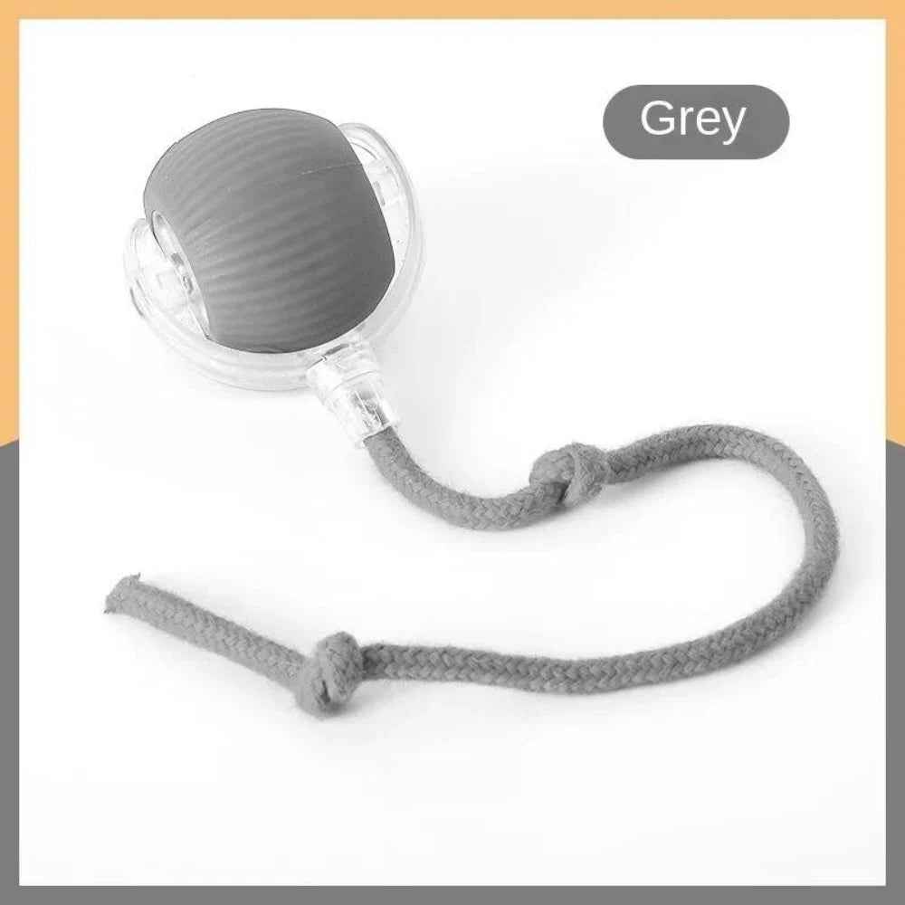 Automatic Rolling Ball Cat Toy